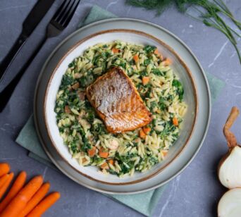 Orzo - Lachs [MASSE]